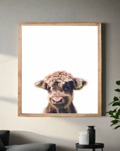 Load image into Gallery viewer, Baby Highland Calf
