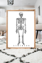 Load image into Gallery viewer, skeleton print
