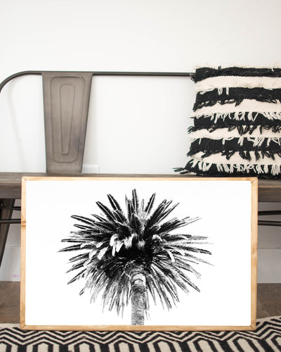 black and white palm wall print 