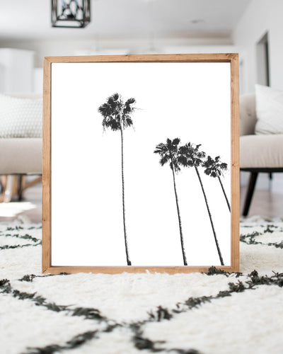 row of palm trees print black and white