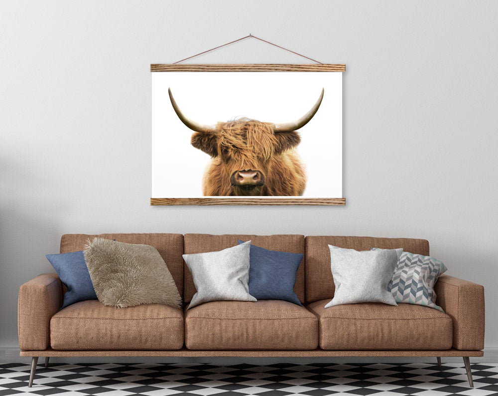 Highland Cow ( color)
